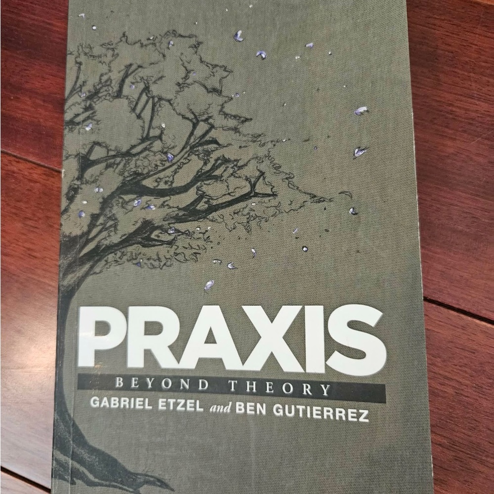 Praxis Beyond Theory Book
